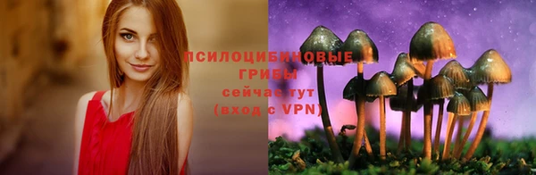 spice Ладушкин