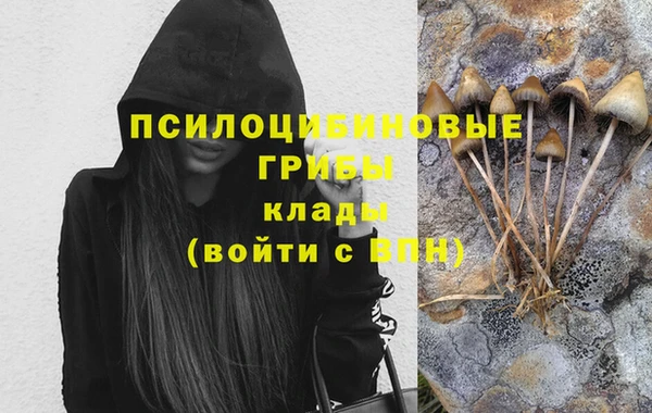сатива Балахна