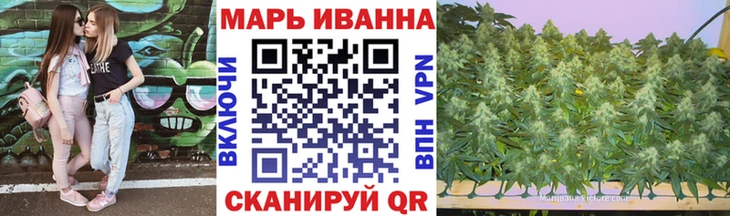 Бошки Шишки сатива Ессентуки