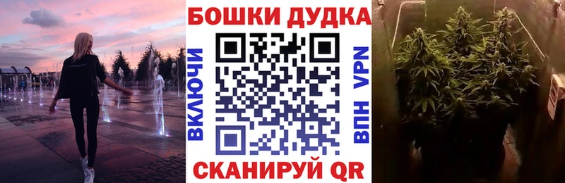 Канабис сатива  Ессентуки 